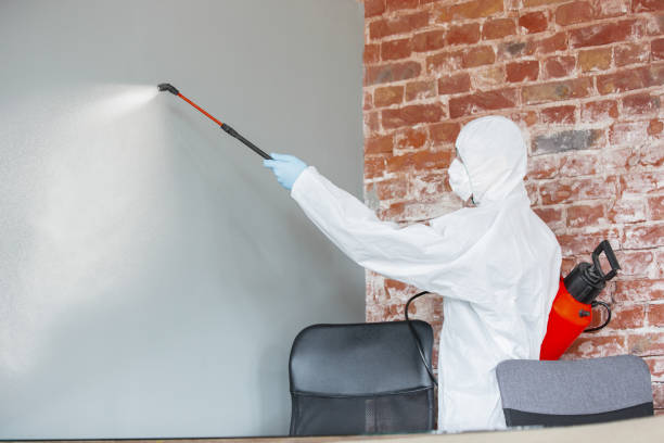 Best HVAC Mold Inspection and Cleaning  in Griffin, GA