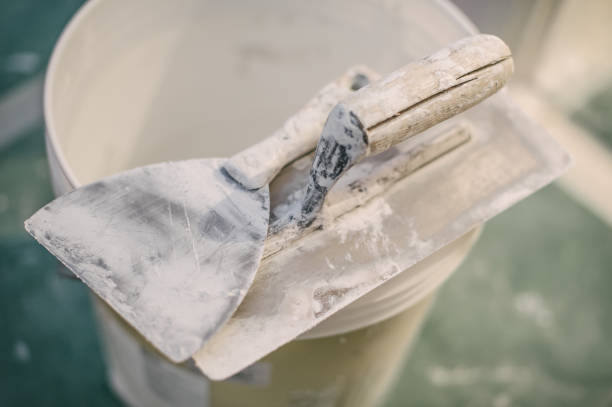 Best HVAC Mold Inspection and Cleaning  in Griffin, GA